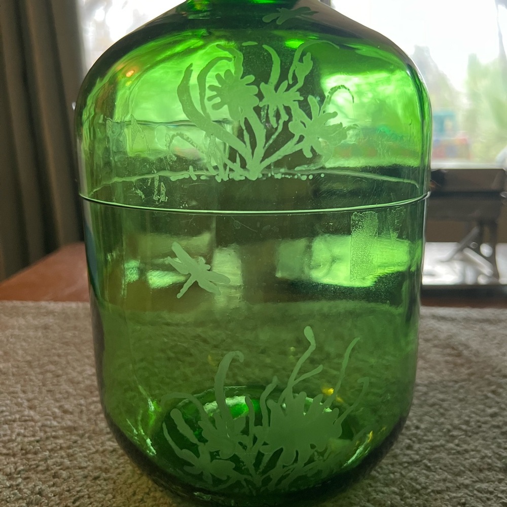 Vintage Gallon Glass Cut in Half with Etched Floral Design terrarium